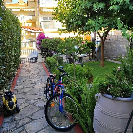 Solmar House * Флогита