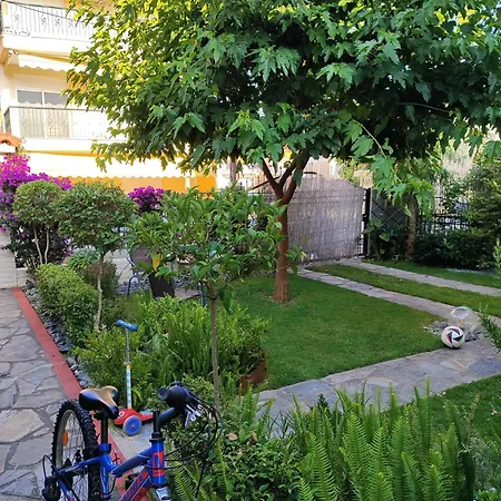 Solmar House * Flojitá